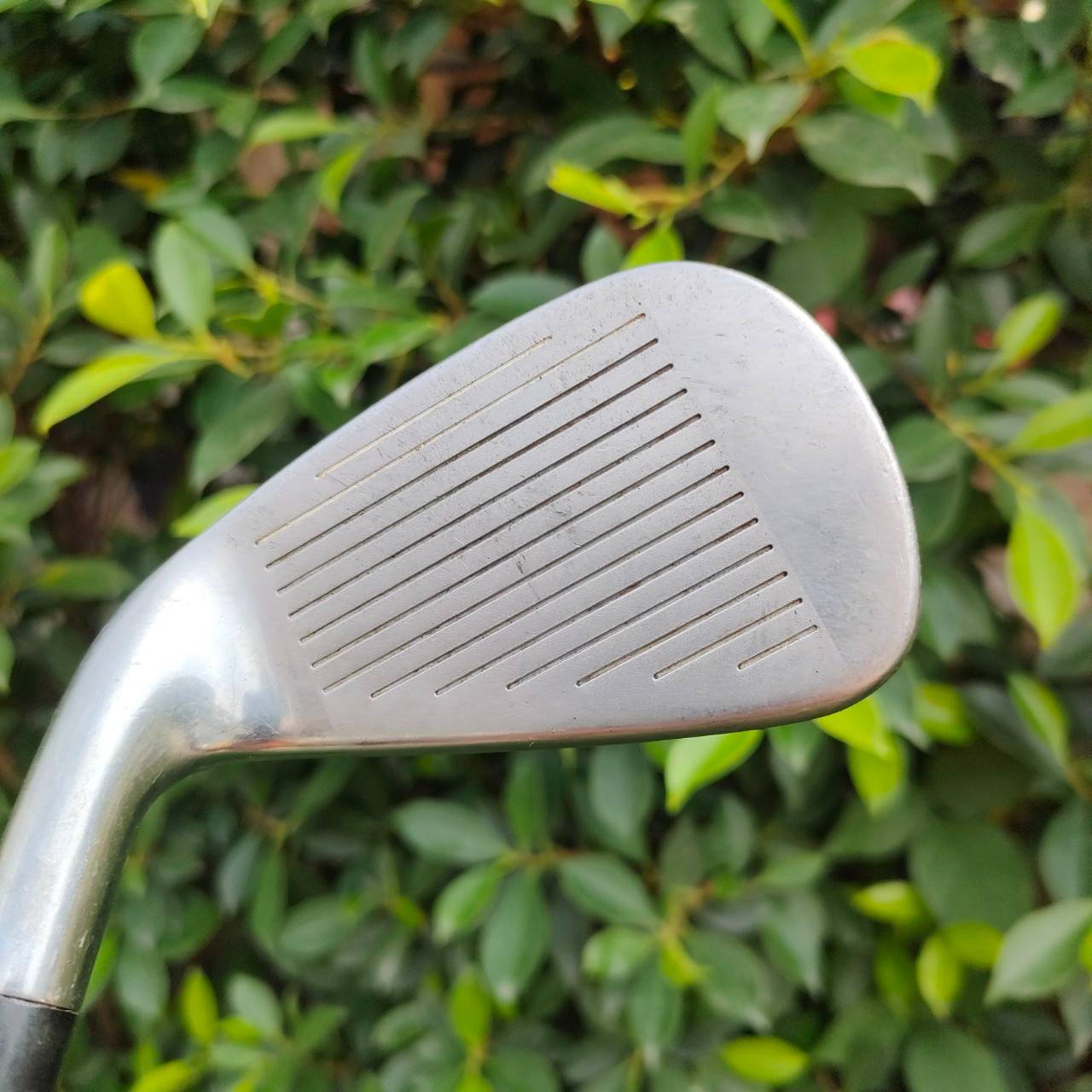 ** ไม้กอล์ฟสำหรับผู้หญิง ** ชุดเหล็ก GENEX 3DX OVERSIZE มีเหล็ก 6-9 เเละ PW SW ก้าน SPEEDRATED 75 FLEX L เหล็กตีง่าย ได้ระยะครับ