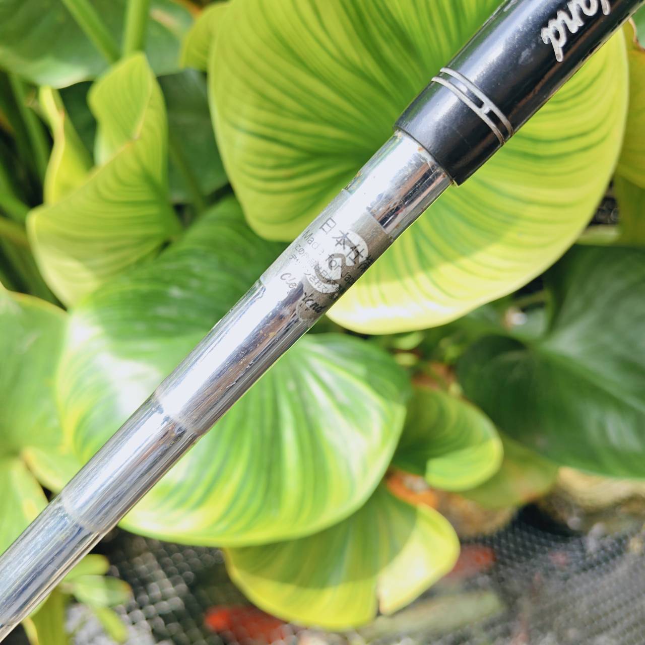 WEDGE CG12 ZIP GROOVE 60° BOUNCE 4 – ช็อตรอบกรีนสุดแม่นยำ ระเบิดทรายได้เหนือชั้น!