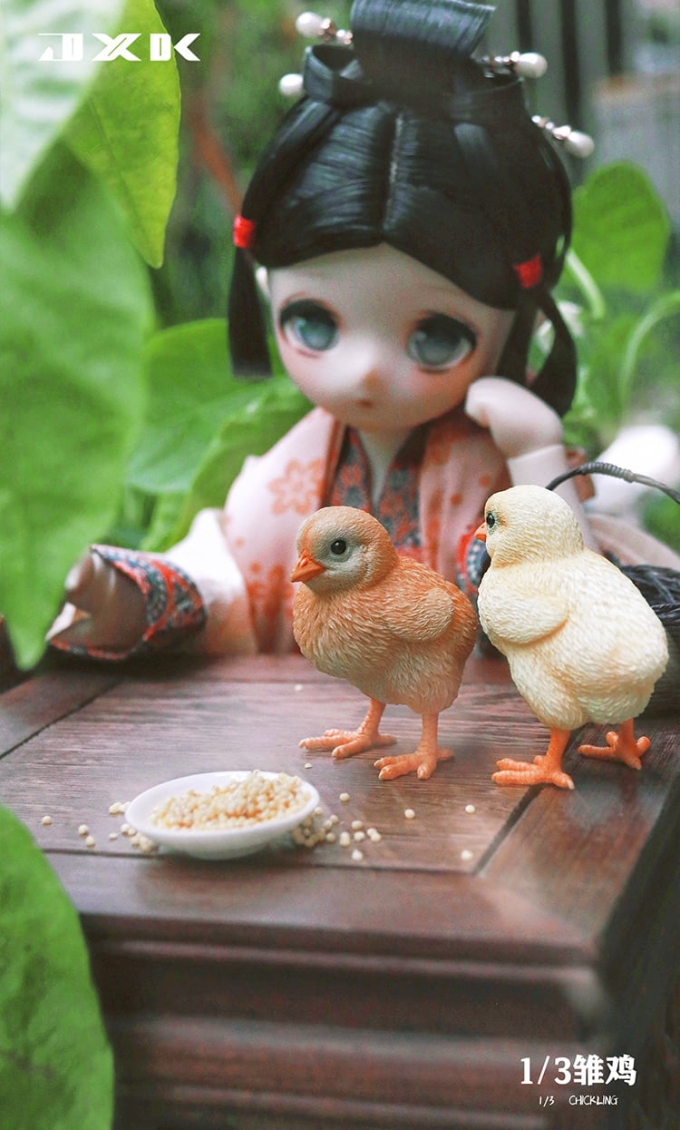 [สั่งจอง]JXK : Scottish Fold/Chckling/Duckling