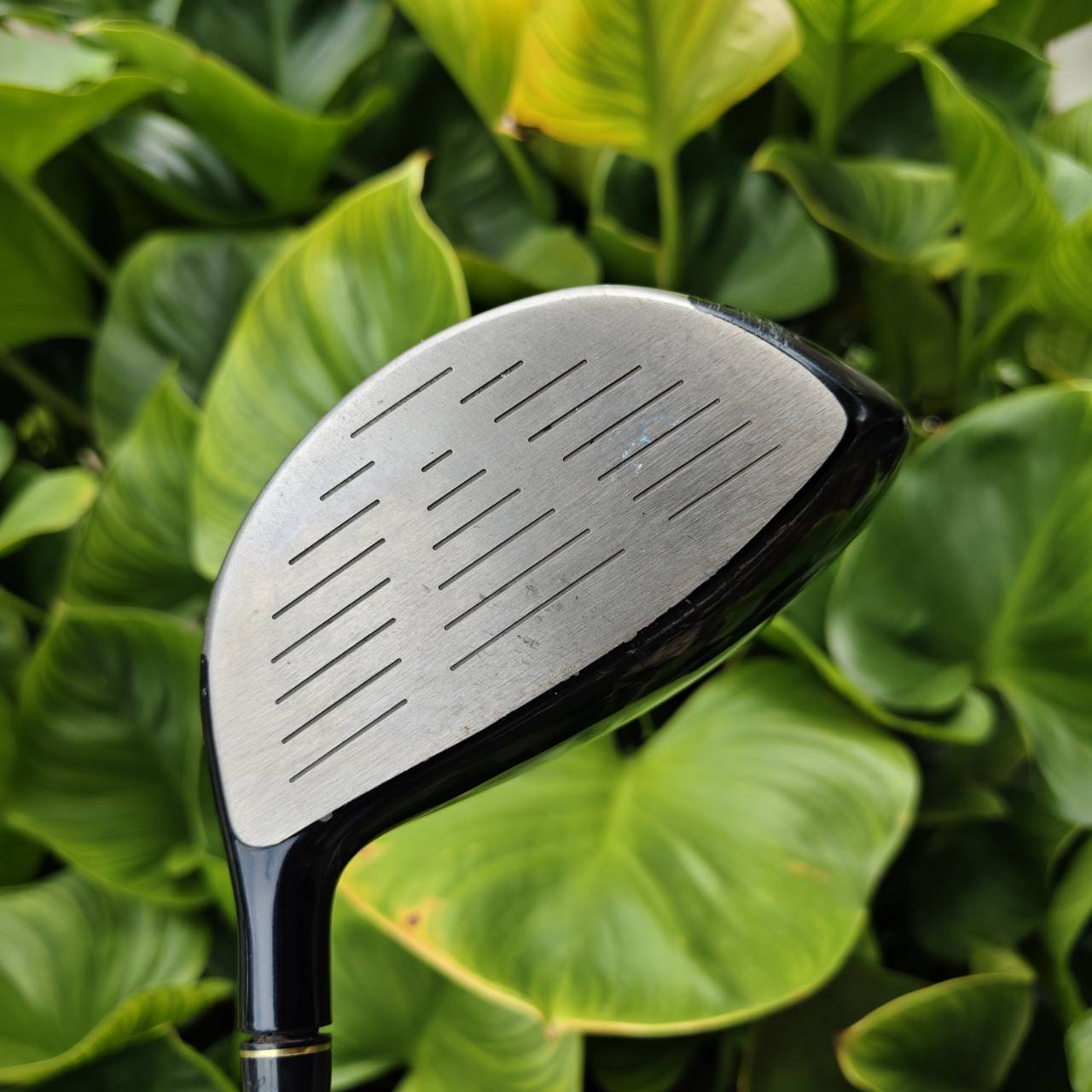 Driver TOURSTAGE ViQ 10.5° หัวไม้ Ti 460cc มาตรฐานญี่ปุ่น sweetspot กว้าง และให้อภัย (forgiving) สูง