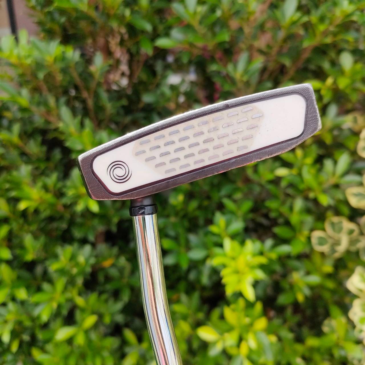 PUTTER ODYSSEY STROKE LAB SEVEN ก้าน STROKE LAB ความยาว 34 นิ้ว สภาพสวยมาก ทรงยอดนิยมที่สุดในเวลานี้