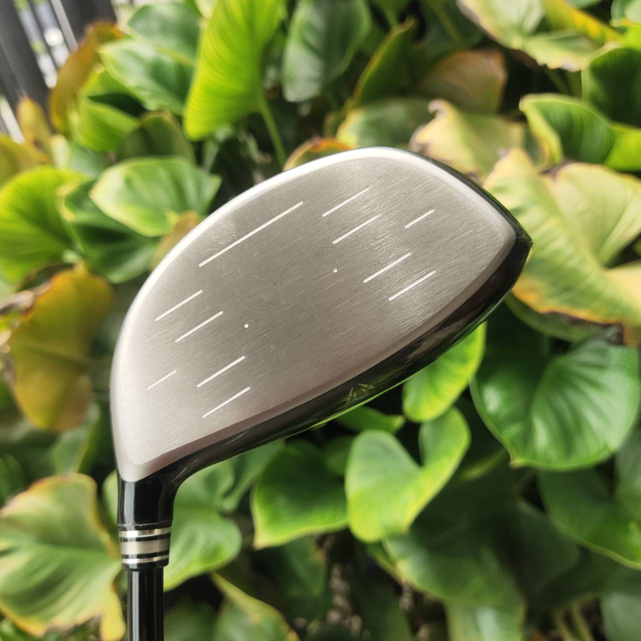 Driver ที่ได้รับความนิยมสูงสุดในญี่ปุ่น XXIO รุ่นที่ 10 ตีง่าย ฟีลดี ลูกพุ่งไกล วิถีสวยมากๆ