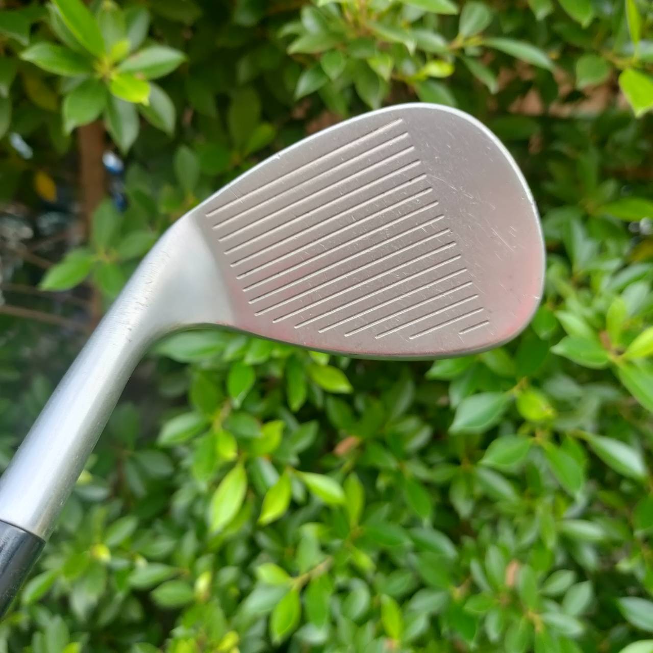 🏌️ WEDGE CLEVELAND REG 588 องศา 56 ก้าน FLEX WEDGE รุ่นดังมากที่สุดของ CLEVELAND 588 ชิพง่าย ติดสปินได้ดีมาก หน้าใบยังสวยๆ ไม้กอล์ฟมือสอง ของแท้ BY NakaraLuxurious