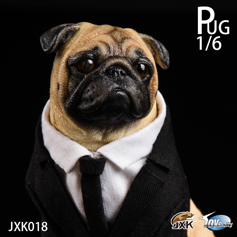 [สั่งจอง]JXK 1/6 JXK018 pug in Black-FRANK
