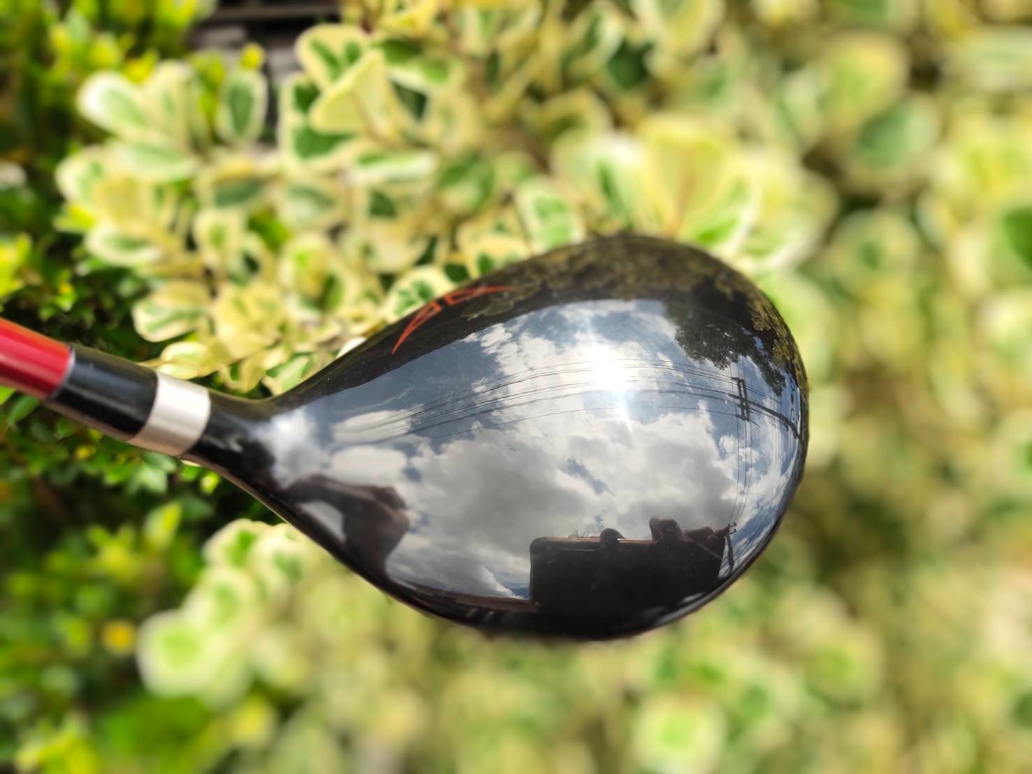 FW3 PING G15 องศา 15.5 ก้าน TFC 149 F FLEX R