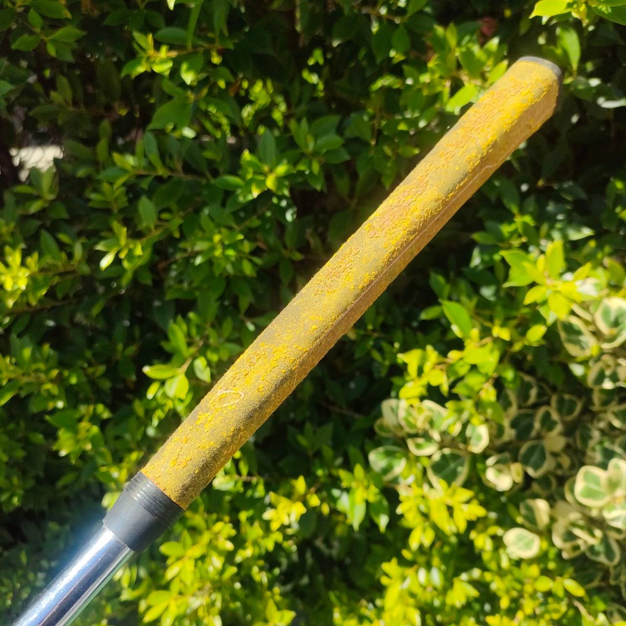 PUTTER YES! C- GROOVE รุ่น Caralyne ก้าน CENTER ความยาว 34 นิ้ว ** กริฟเสือมสภาพ ** รุ่นที่หน้ายาว พัตต์ง่าย ไม้กอล์ฟมือสอง ของแท้ BY NakaraLuxurious