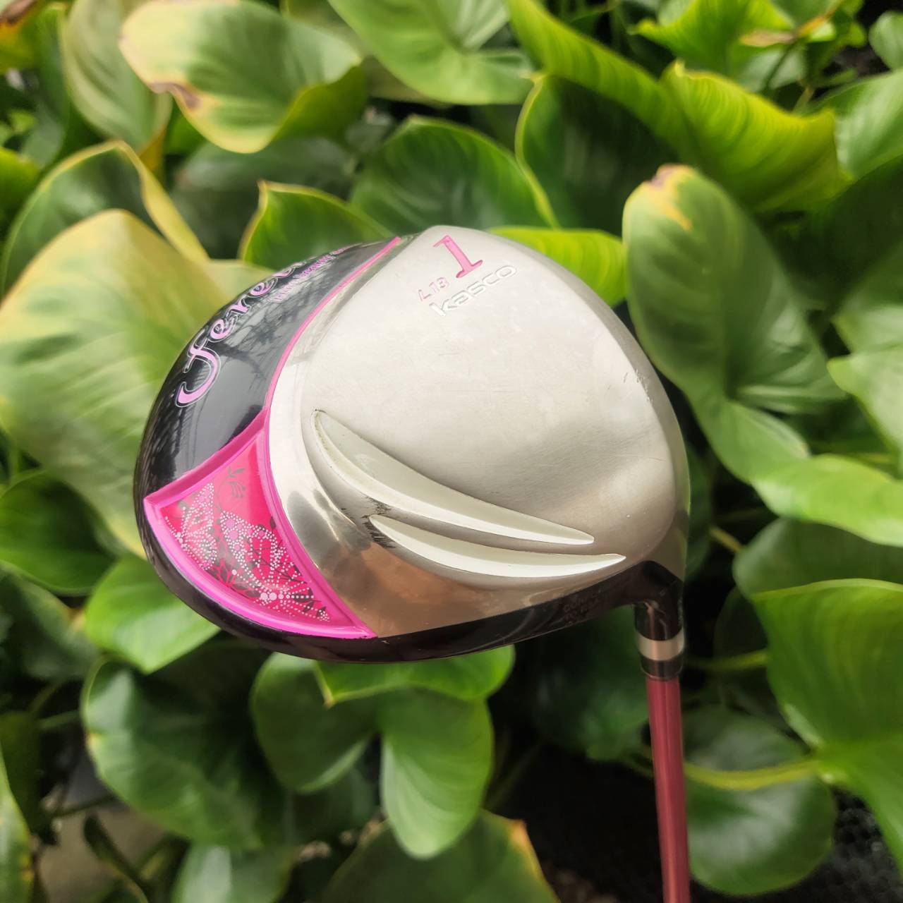 KASCO FEREINA ชุดไม้กอล์ฟระดับพรีเมียมสำหรับสุภาพสตรี เบา ตีง่าย ดีไซน์สวยงามจากประเทศญี่ปุ่น