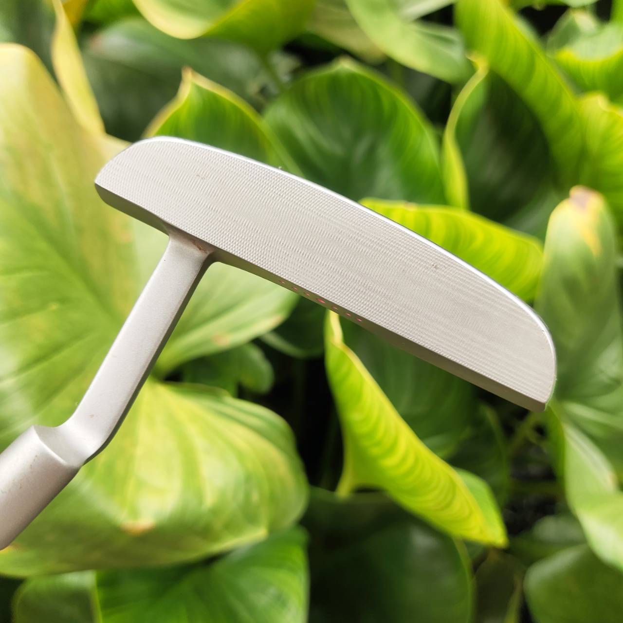 KASCO FEREINA ชุดไม้กอล์ฟระดับพรีเมียมสำหรับสุภาพสตรี เบา ตีง่าย ดีไซน์สวยงามจากประเทศญี่ปุ่น