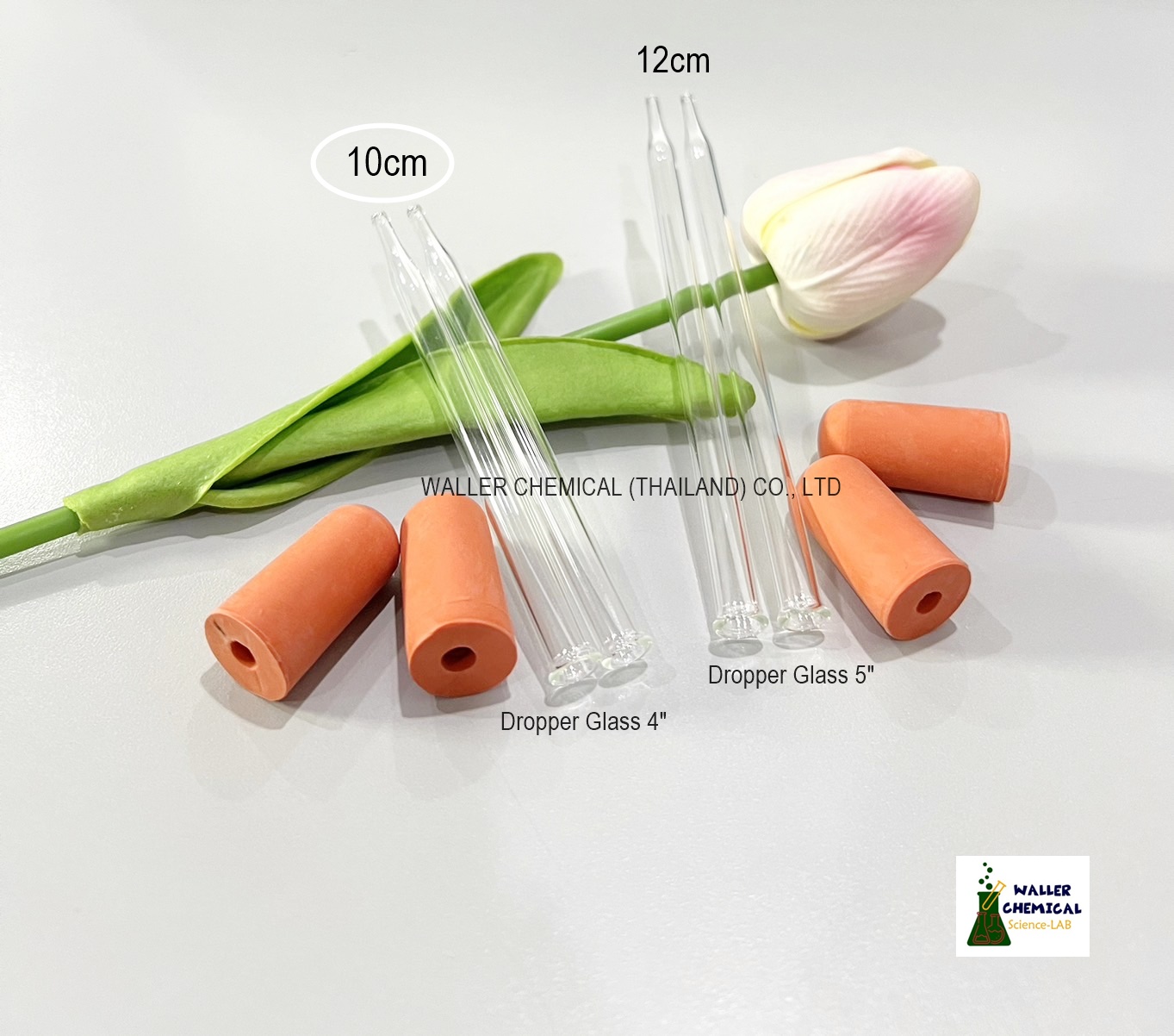 หลอดเเก้วหยดสาร + ลูกยางสีส้ม 4" (ความยาว 10cm)