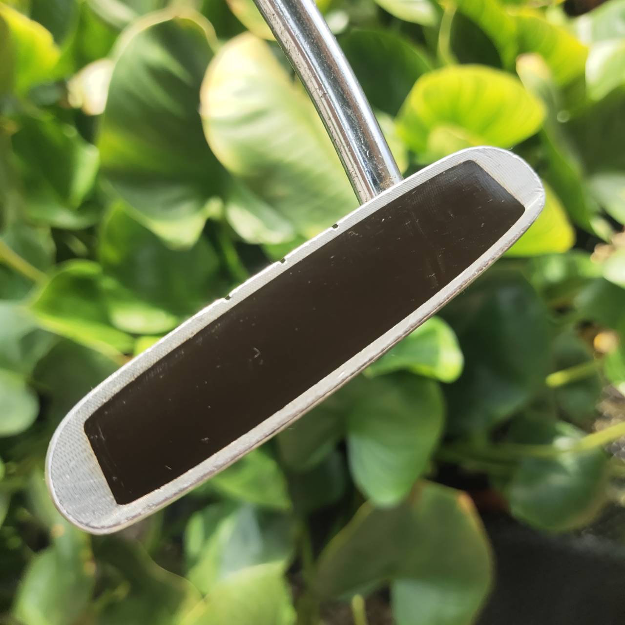 PUTTER ODYSSEY DUAL FORCE ROSSIE II รุ่นหน้าดำทั้งนุ่มและเกาะไลน์มาก