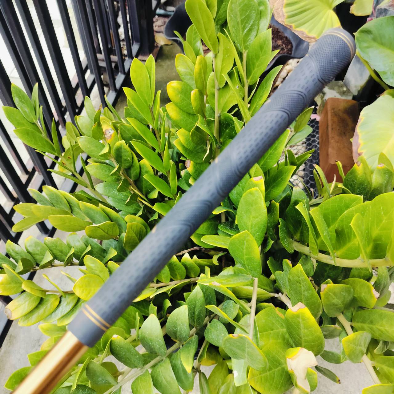 ชุดเหล็ก PROKENNEX XPT 1 เหล็กญี่ปุ่นคุณภาพดี ราคาสุดพิเศษ!!! ได้เหล็ก 3-9 PW SW ครบชุดเต็มข้อ!!! ใบเหล็ก CAVITY ตีง่าย การจายน้ำหนักดีมาก ไม้กอล์ฟมือสอง ของแท้ BY NakaraLuxurious