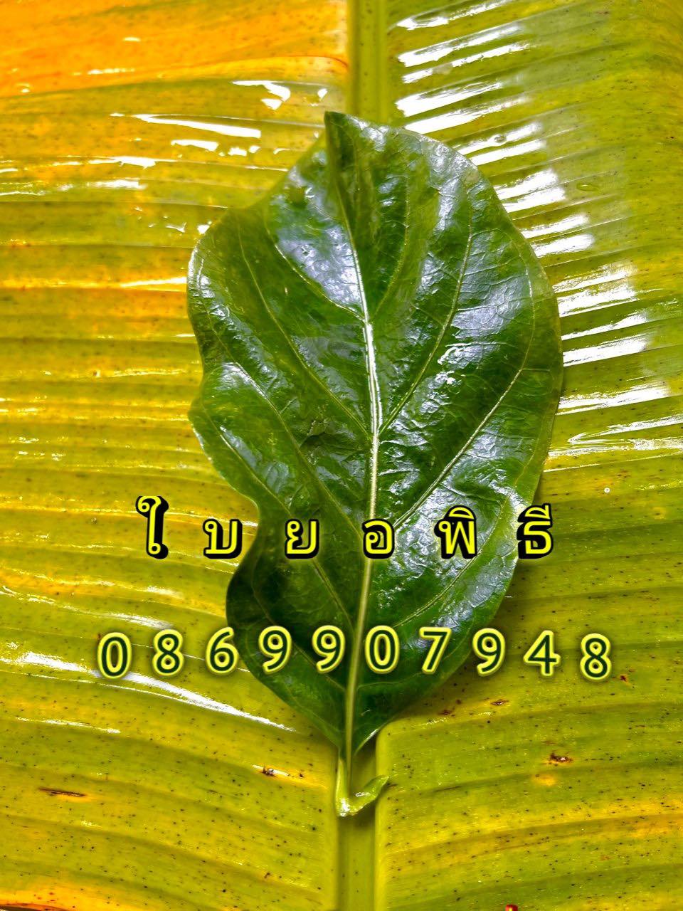 ใบไม้มงคล (พิธี)