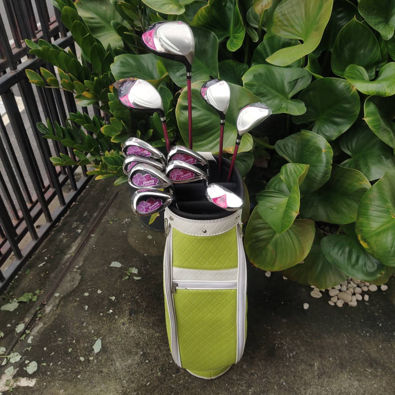 KASCO FEREINA ชุดไม้กอล์ฟระดับพรีเมียมสำหรับสุภาพสตรี เบา ตีง่าย ดีไซน์สวยงามจากประเทศญี่ปุ่น