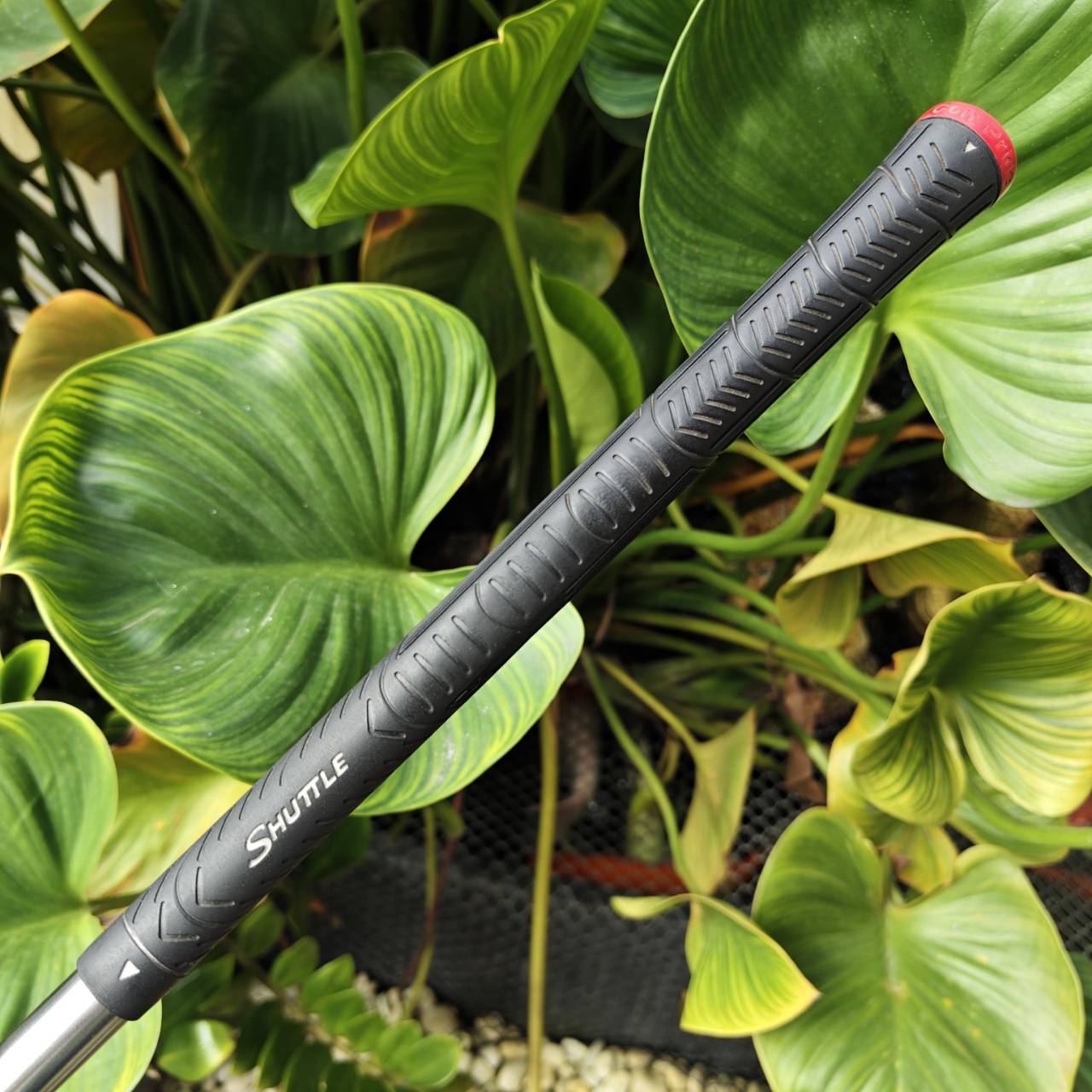 5W MARUMAN SHUTTLE – MARAGING M-SOLE (หน้าไม้ Maraging) บางพิเศษ เด้งมาก!