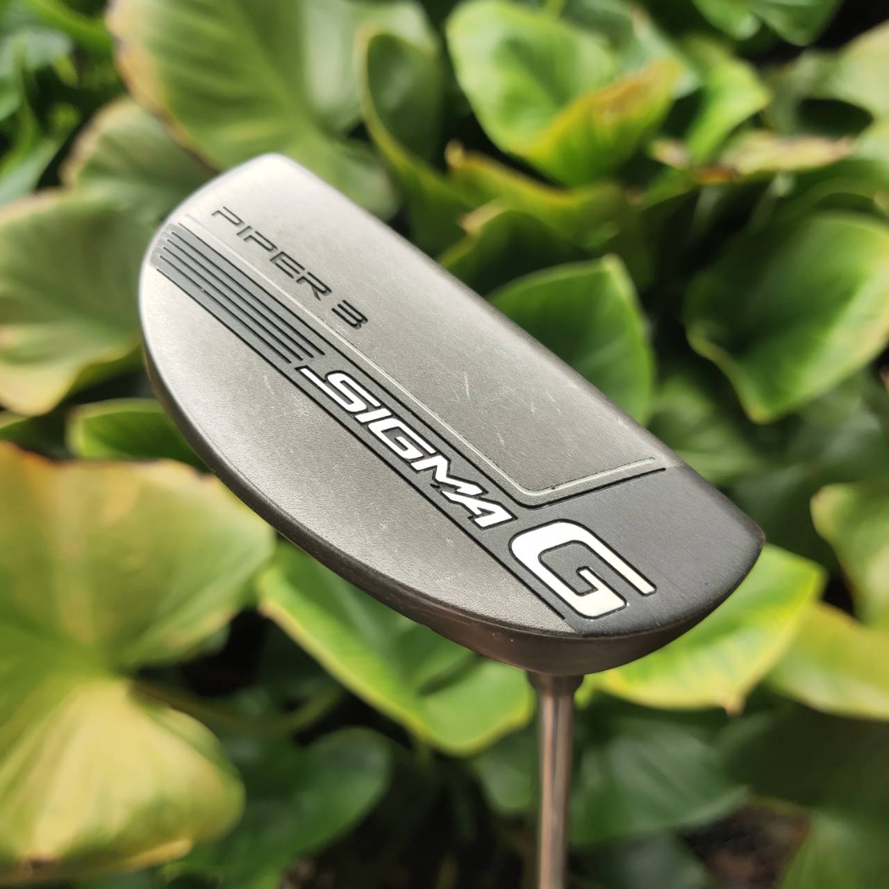 PUTTER PING SIGMA G PIPER3 หน้า PEBAX Insert + TR Face Technology ให้หน้าพัตต์นุ่ม แม่น ระยะคงที่