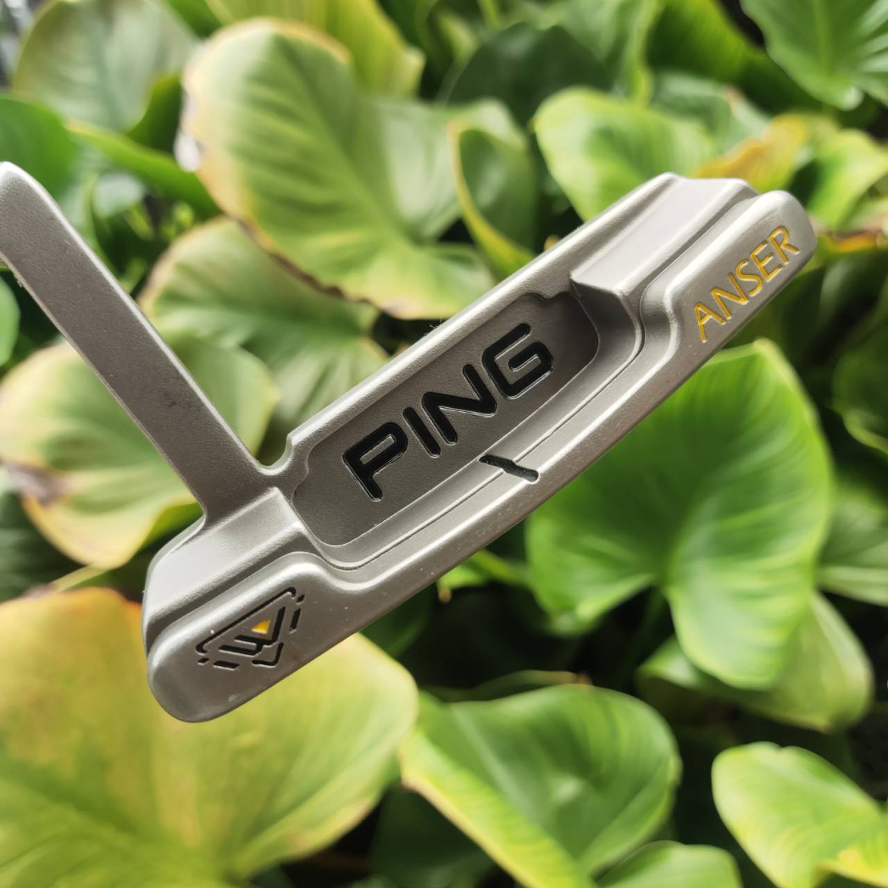 PUTTER PING ANSER iwi หน้าไม้ใส่ Insert iwi (lightweight insert) ที่สุดของการเกาะไลน์