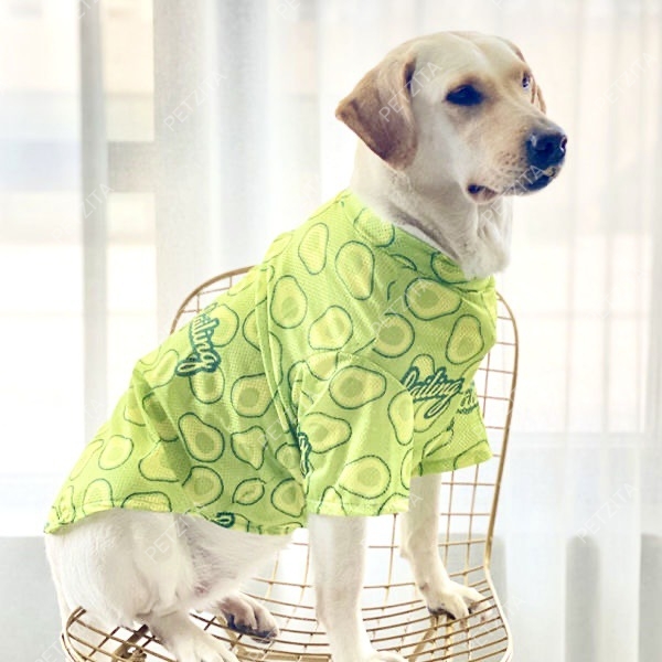🇹🇭พร้อมส่ง🇹🇭 🐕🦮🐕 BIGSIZE เสื้อ หมาใหญ่ หมาอ้วน ลายแฟชั่นน่ารัก ผ้ารูใส่สบาย FOR สัตว์เลี้ยง สุนัขพันธุ์ใหญ่