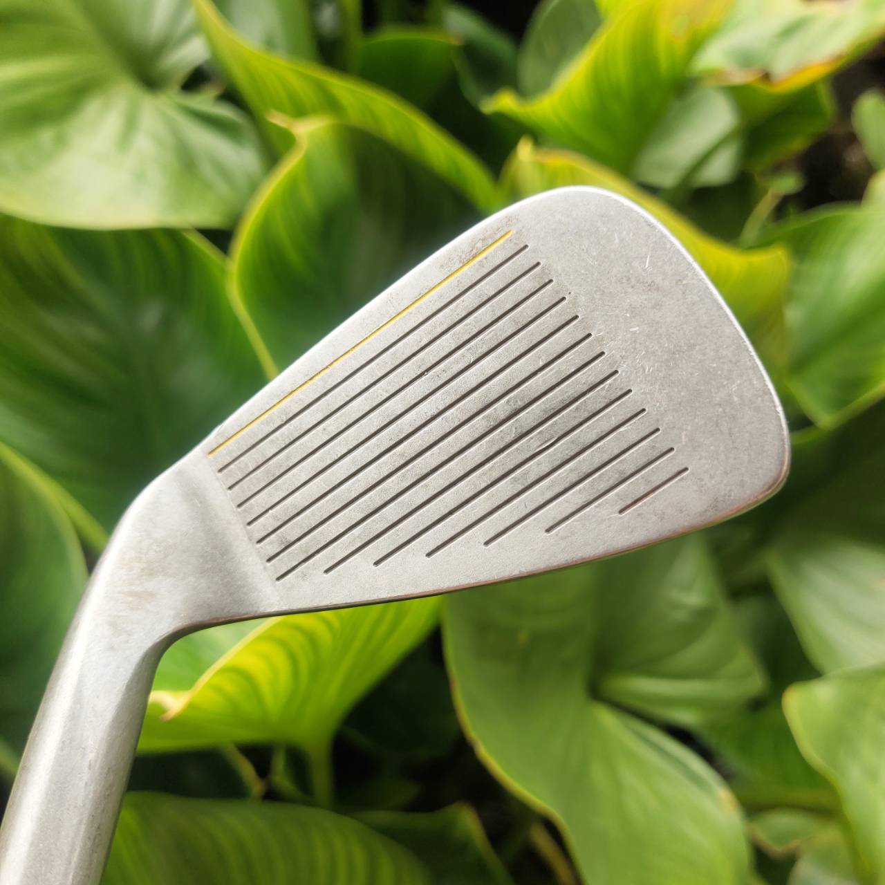 เหล็ก 4 PRGR CT-503 ก้าน M-34 ตีง่าย & forgiveness ดี