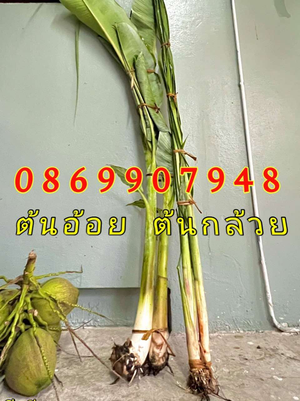 ต้นอ้อยต้นกล้วย (ขันหมาก)