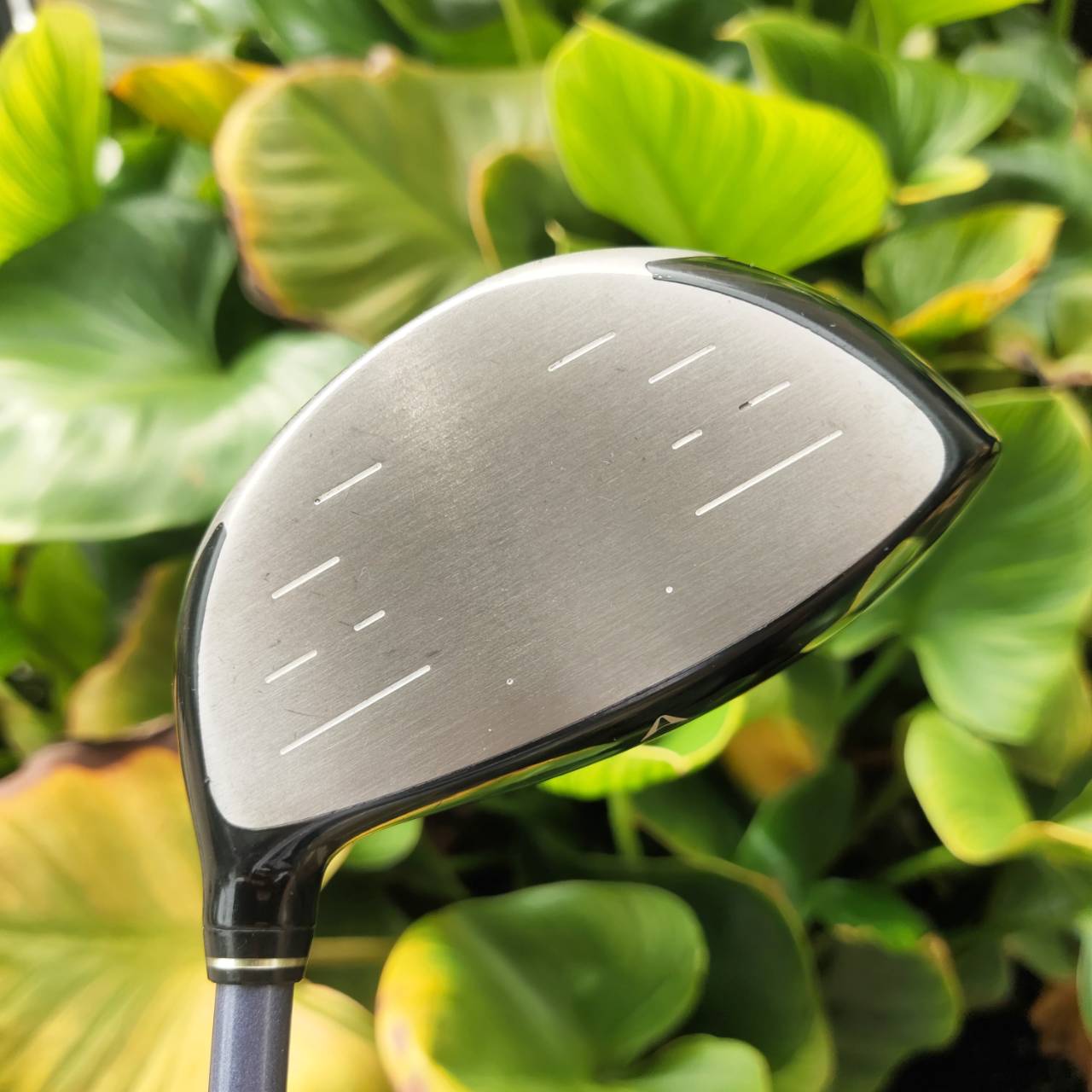 *ไม้กอล์ฟผู้หญิง* XXIO Impact Power Body พลังเต็มสวิงสำหรับนักกอล์ฟที่รักความง่ายและระยะไกล