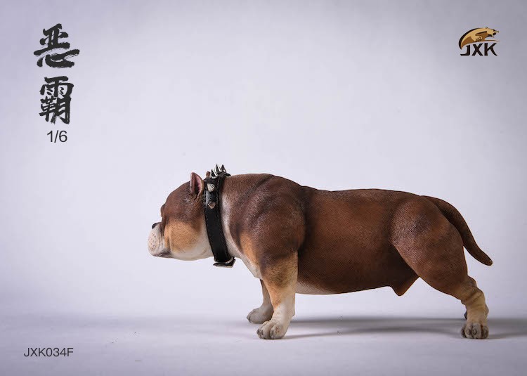 [สั่งจอง] JXK studio JXK034 A/B/C/D/E/F 1/6 : American Bully Pitbull Dog