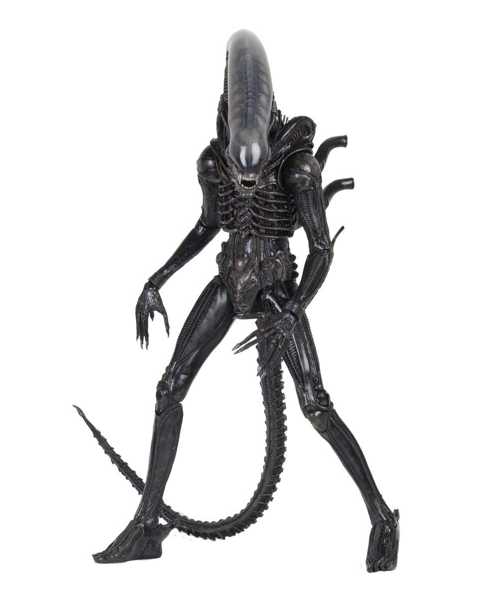 [สั่งจอง] Neca : Alien [Reissue]
