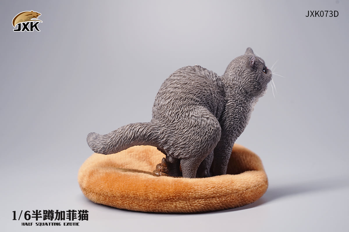[สั่งจอง]JXK JXK073 ABCD 1/6 : Half squatting ExoticShorthair