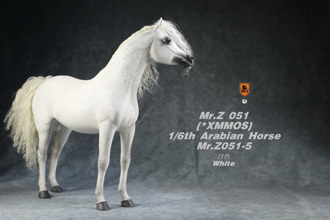 [สั่งจอง]Mr.Z MRZ051 1/6 animal model : Arabian Horse