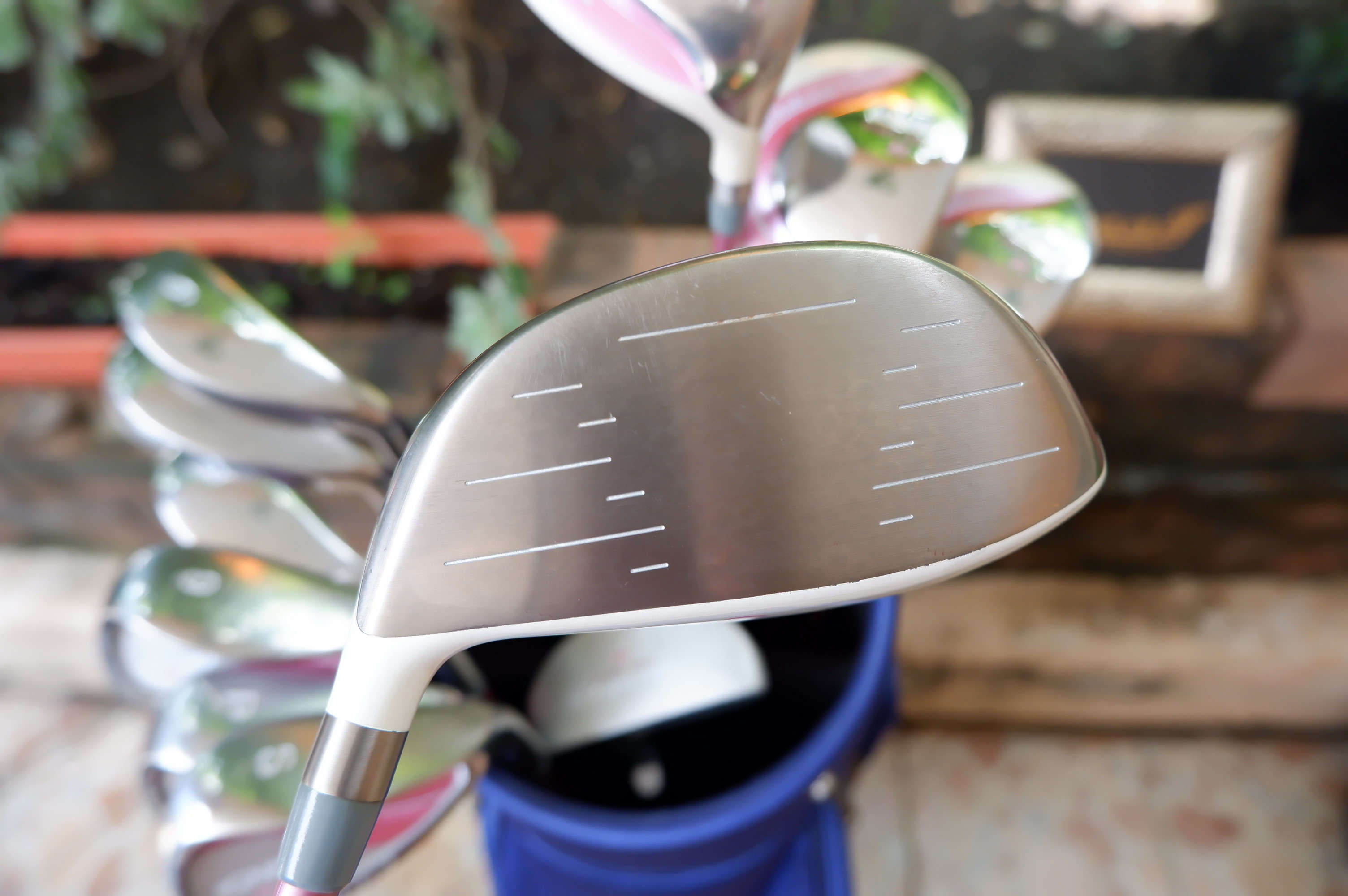 Full Set IGNIO FIRES YOU UP. EL