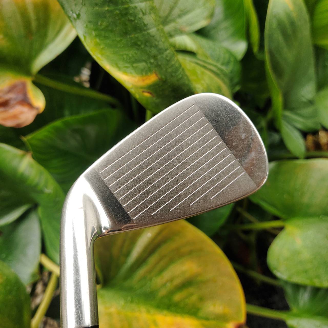 ชุดเหล็กหน้าเด้งมาก!!! KASCO INDEED MARAGING!!! ชุดพรีเมี่ยมสูงสุดของ KASCO ของใหม่ราคาแพงมากๆๆ ญี่ปุ่นแท้ หน้า MARAGING เด้งสุดขีด ตีไกลสุดขั้ว ตีง่ายก้านเบา ไม้กอล์ฟพรีเมี่ยมญี่ปุ่นมือสอง