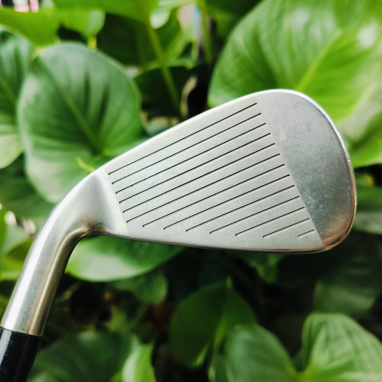 ชุดเหล็ก SRIXON i-403 AD ก้าน SV-3000 FLEX R มีเหล็ก 3 4 5 6 7 8 9 PW เป้นชุดเหล็กญี่ปุ่นที่ง่ายมากๆ ไม้กอล์ฟพรีเมี่ยมมือสอง ของแท้ By NakaraLuxurious