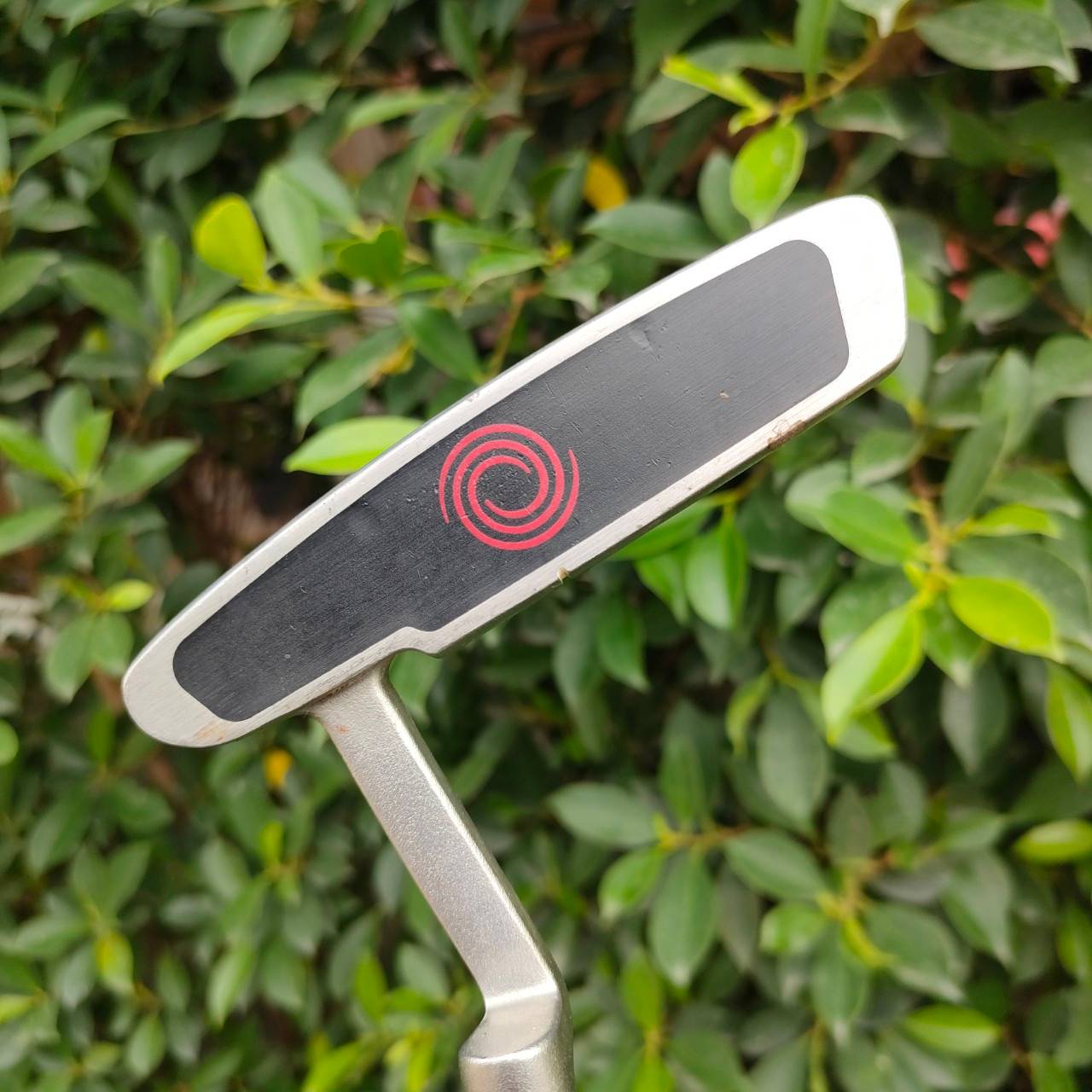 PUTTER ODYSSEY DUAL FORCE 2 #1 ความยาว 34 นิ้ว ก้าน ODYSSEY อินเสิร์ทดีมาก หน้าหนึบๆ เกาะไลน์ ออกแบบดีมาก