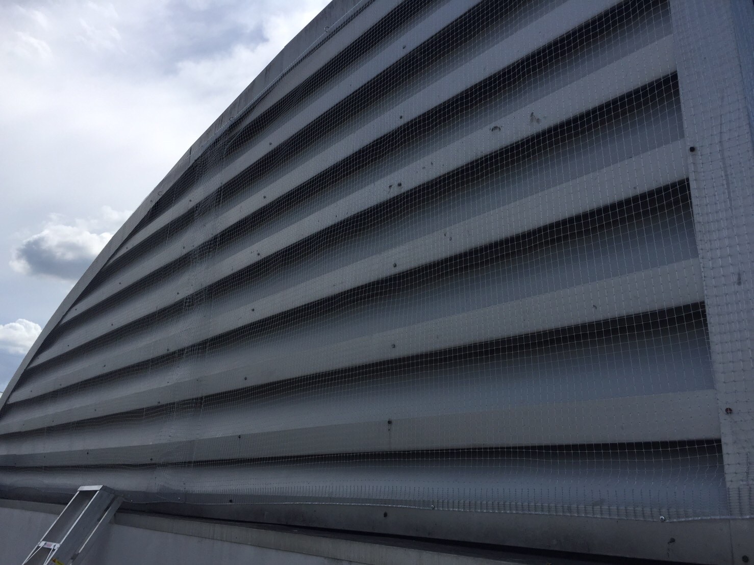 งานติดตาข่ายกันนก ตึกกายวิทยาทาน มหาวิทยาลัยมหิดล