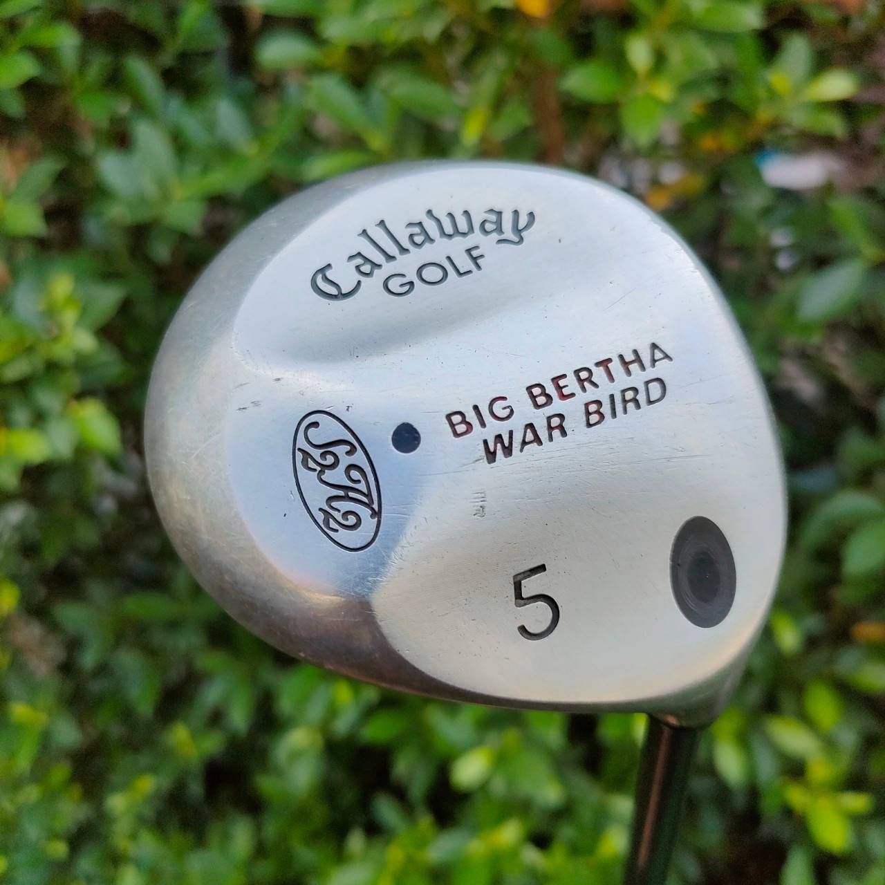 FW5 CALLAWAY BIG BERTHA WAR BIRD ก้าน RCH96 FLEX FIRM รุ่นดังของ Callaway ตีดีตลอดกาลครับ