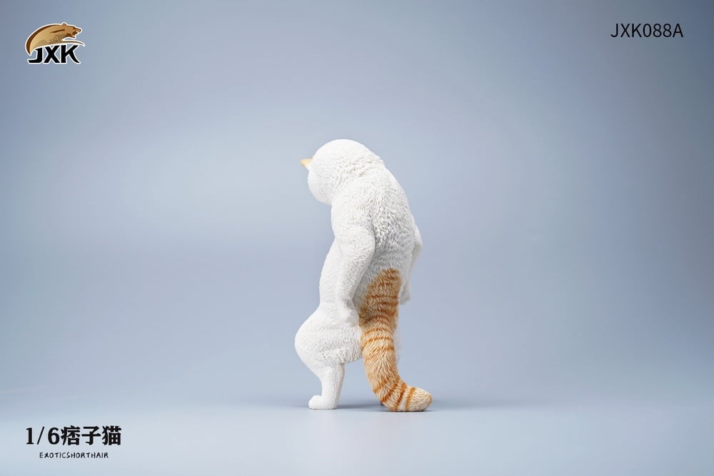 [สั่งจอง]JXK JXK088 1/6 : Exoticshorthair