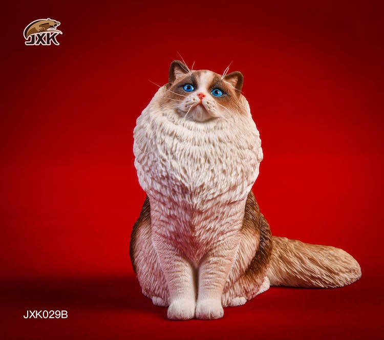 [สั่งจอง] JxK.Studio 1/6 Jxk029/ Jxk030 A/B/C/D -Ragdoll / British Shorthair Cat