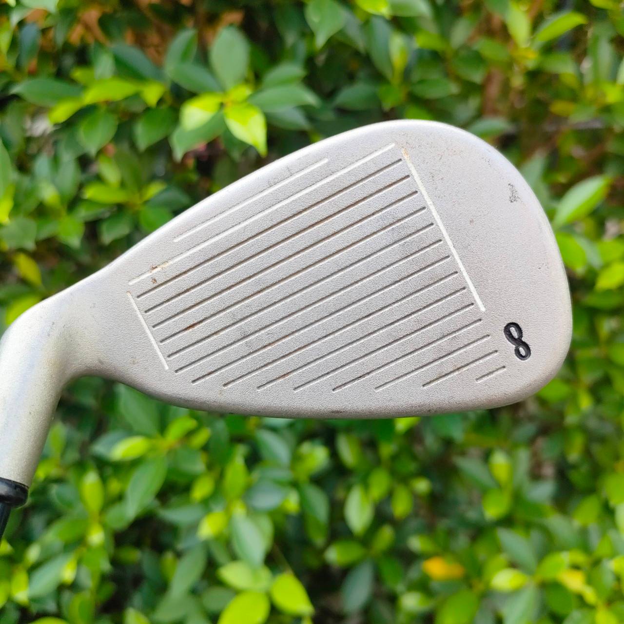 เหล็ก 8 CALLAWAY BIG BERTHA X-12 ก้าน RCH 99 FLEX FIRM เหล็กตีง่ายมาก ใบหนา ก้านเจาะทะลุ ได้ฟีลลิ่ง