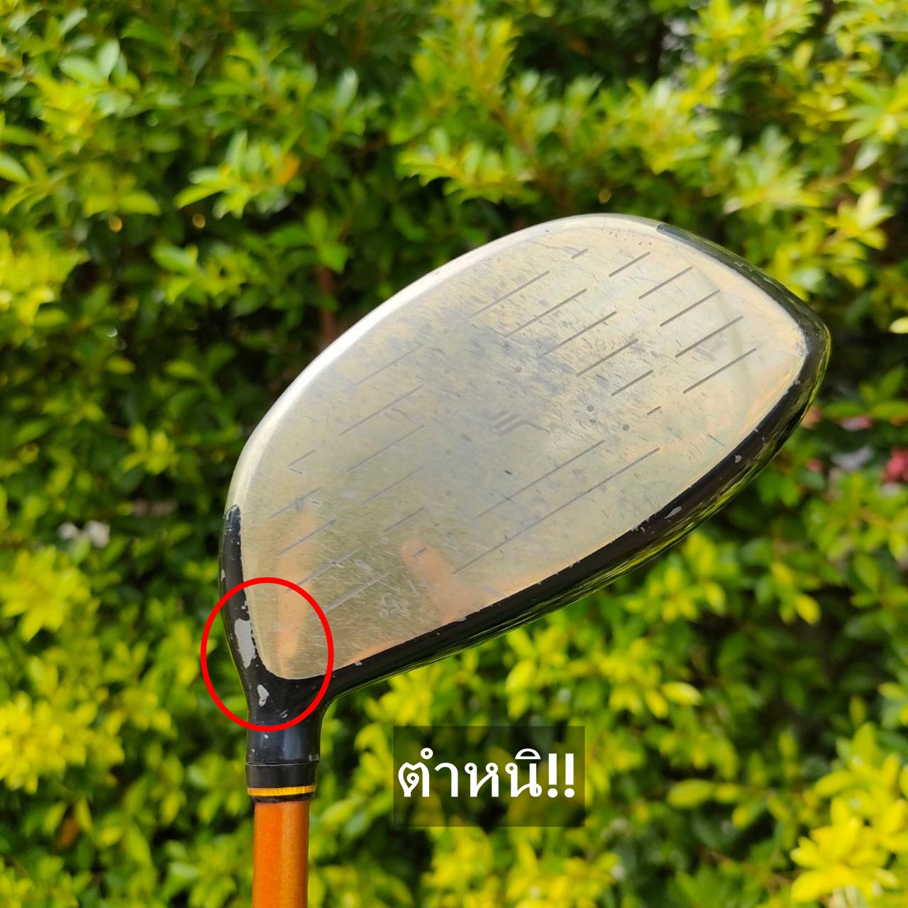 ** ไม้กอล์ฟสำหรับผู้หญิง ** DRIVER ENA องศา 11.5 ก้าน ENA FLEX LADY ** ตรงคอไม้มีรอย ถลอก ** ไม้ SUPER PREMIUM ญี่ปุ่นแท้ๆ ไม้กอล์ฟมือสอง ของแท้ BY NakaraLuxurious