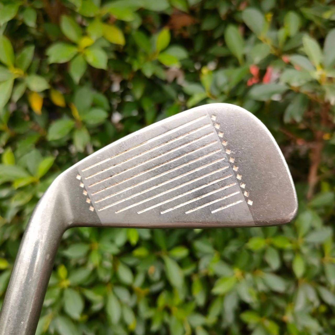 **ไม้กอล์ฟสำหรับผู้หญิง** เหล็ก3 DAIWAGC HI-TRAC ก้าน DIAWA TR FLEX L ก้านดีมาก ก้านเบา ตีง่าย