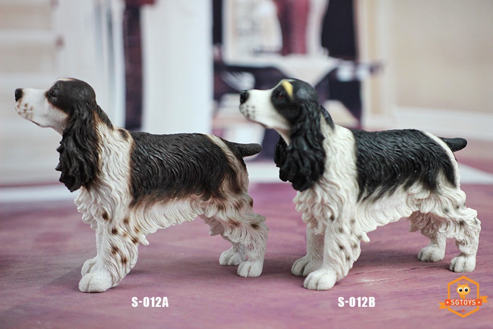 [สั่งจอง]SGTOYS S-010,S-011,S-012 1/6 Animal Model Chihuahua/ Rottweiler/ Springer Spaniel/Shiba Inu