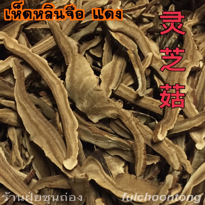 เห็ดหลินจือ