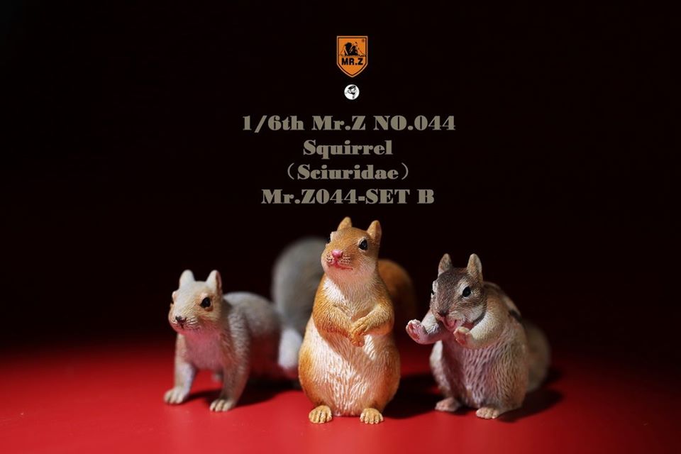 [สั่งจอง]Mr. Z Animal Model Mr.Z044 1/6th : Squirrell [Set A/B]
