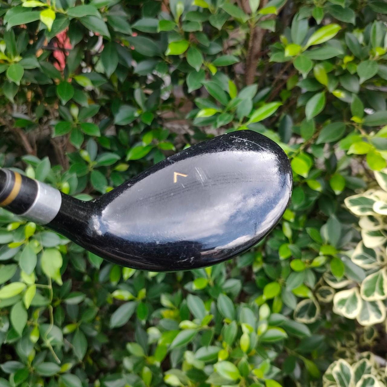 HYBRID GOSEN TOUR GX-888 TITANIUM MATRIX องศา 24 ก้าน TOUR GX-888 FLEX R MADE IN JAPAN