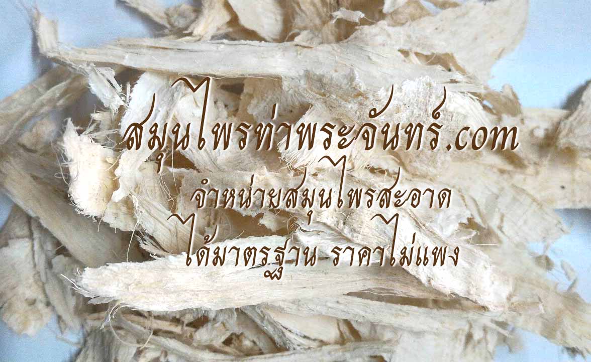 กวาวเครือขาวแห้ง สมุนไพรท่าพระจันทร์