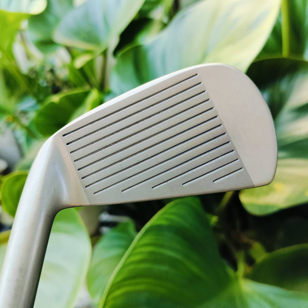 WOSS Japanese golf irons 3-9 P S AIMING WO-02 FORGED ตีนุ่มมากๆ ก้านกราไฟต์เดิมทุกอย่าง FLEX S ไม้กอล์ฟพรีเมี่ยมมือสอง ของแท้ By NakaraLuxurious