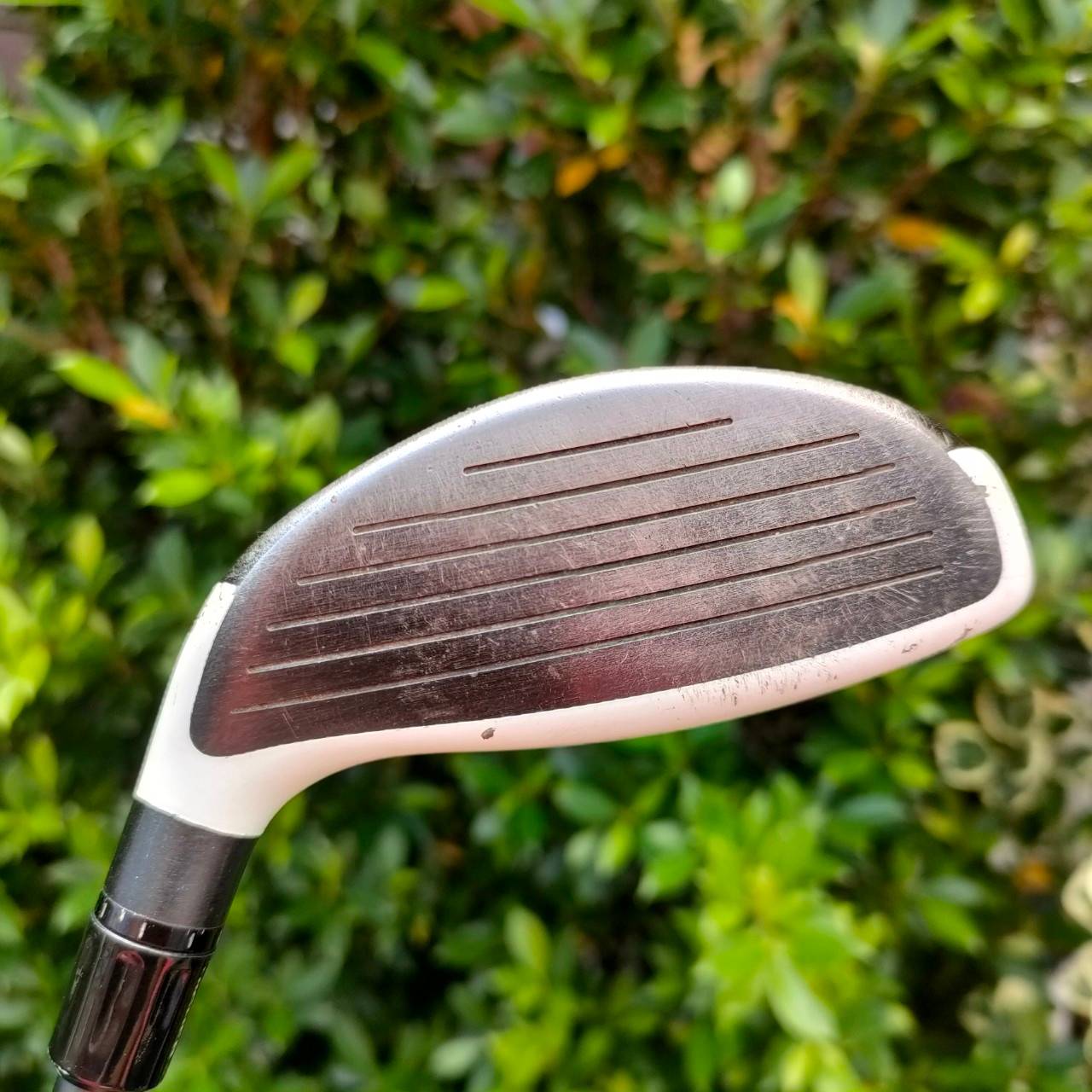 FW 3 TAYLORMADE R11S ก้าน R.I.P PHEMOM FLEX M องศา 15.5 ตีดีสุดๆครับ ระยะแรง!!!