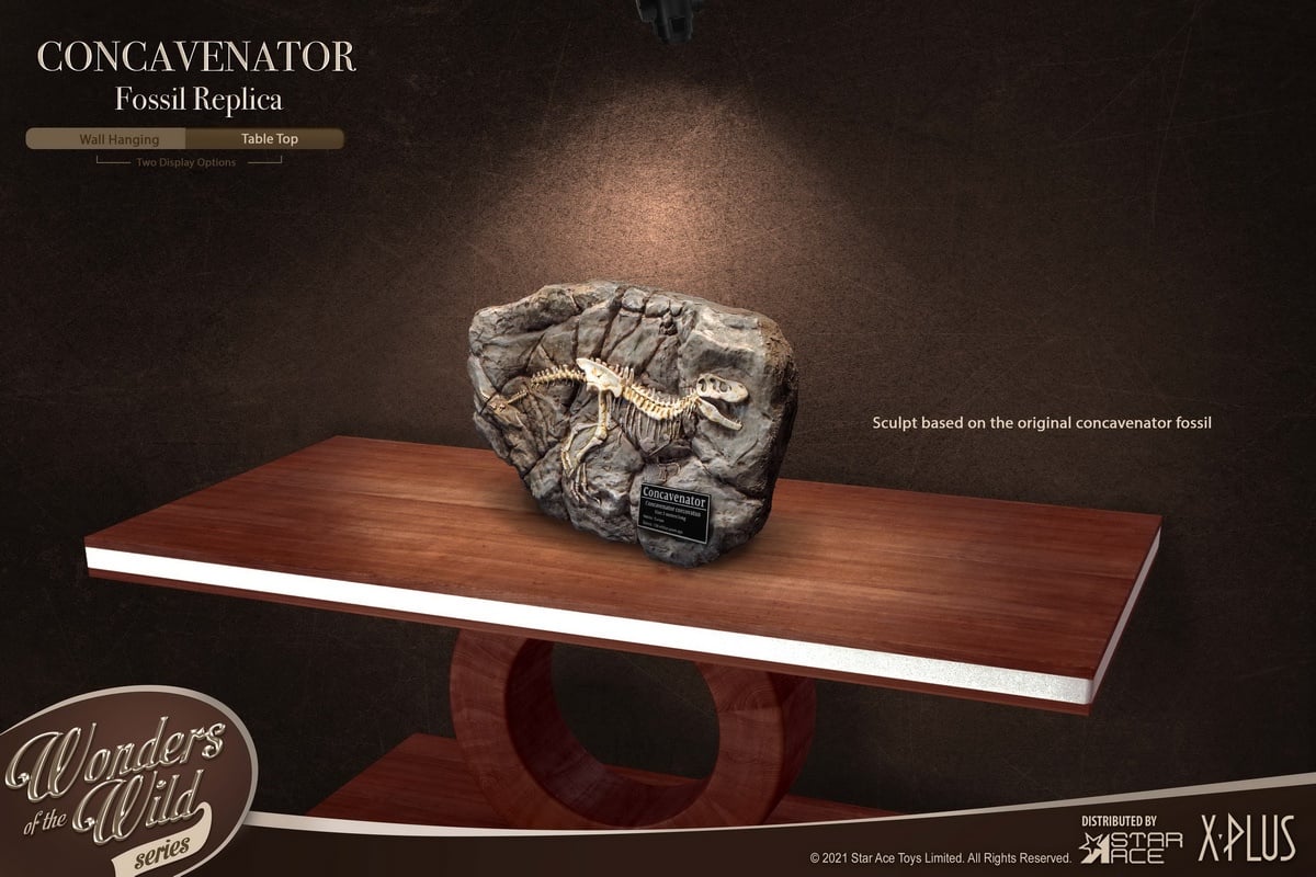 [สั่งจอง] X-Plus / STAR ACE SA5002 : WONDER WILD series Concavenator Statue