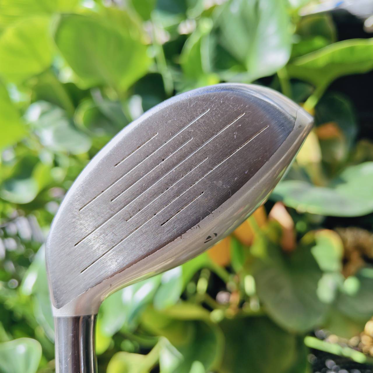 TAYLORMADE XR 3W พลังความเร็วจากเทคโนโลยี เป็นตัวพรีเมี่ยมญี่ปุ่นของแบรนด์ ตีง่ายๆสบายๆ