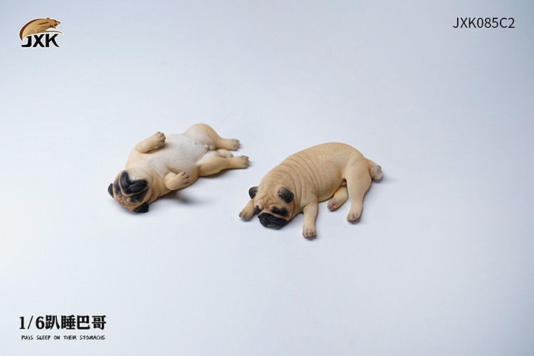 [สั่งจอง] JXK JXK085 1/6 : Pugs Sleep On Their Stomach