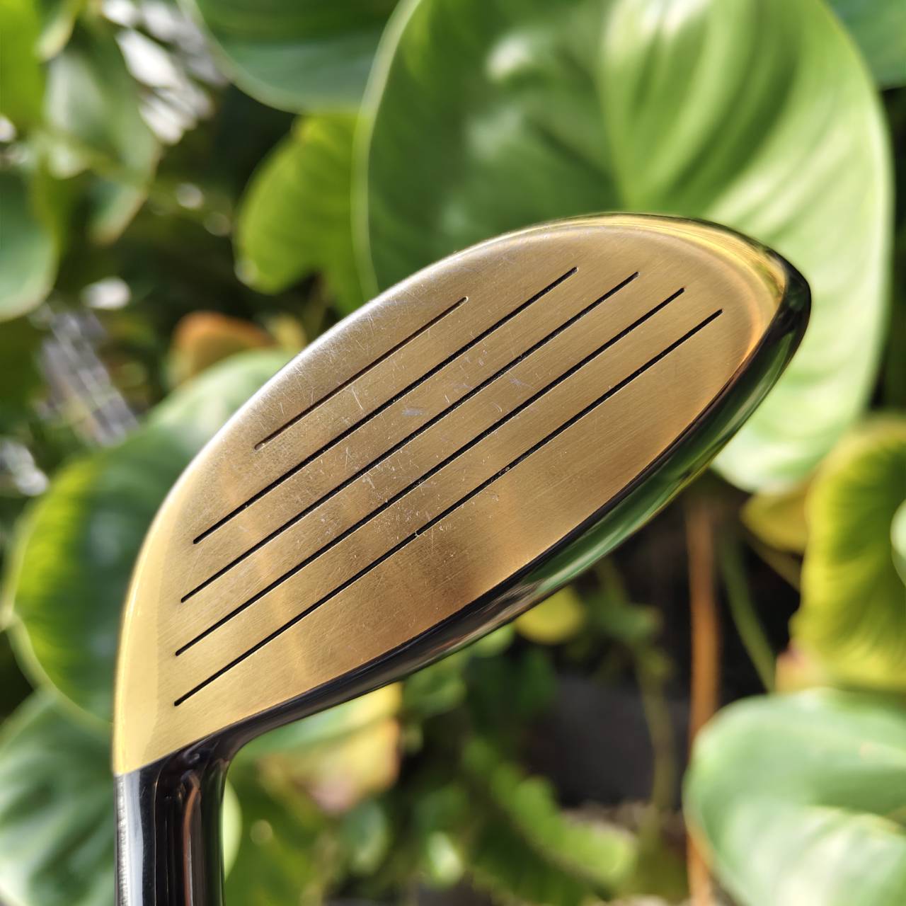 5W TSURUYA ROYAL GRADE องศา 18 FLEX R ตัวดังที่ขึ้นชื่อเรื่อง “ตีง่าย และไกลแบบไม่ต้องออกแรงเยอะ”